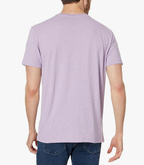 US POLO Assn. Men's Solid V-Neck Short Sleeve T-Shirt